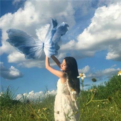 我是海鸥